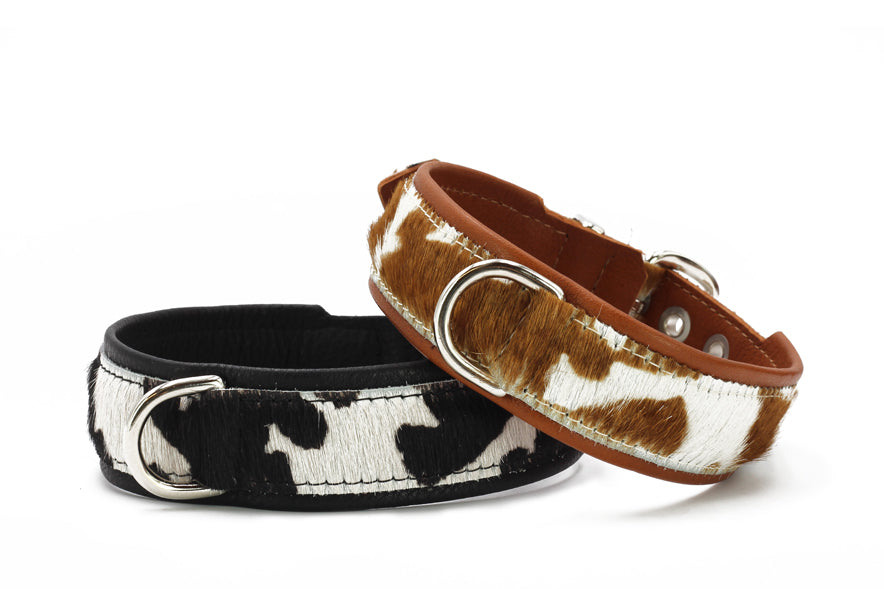 Halsband Kuhfell SALE