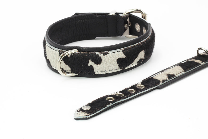 Halsband Kuhfell SALE