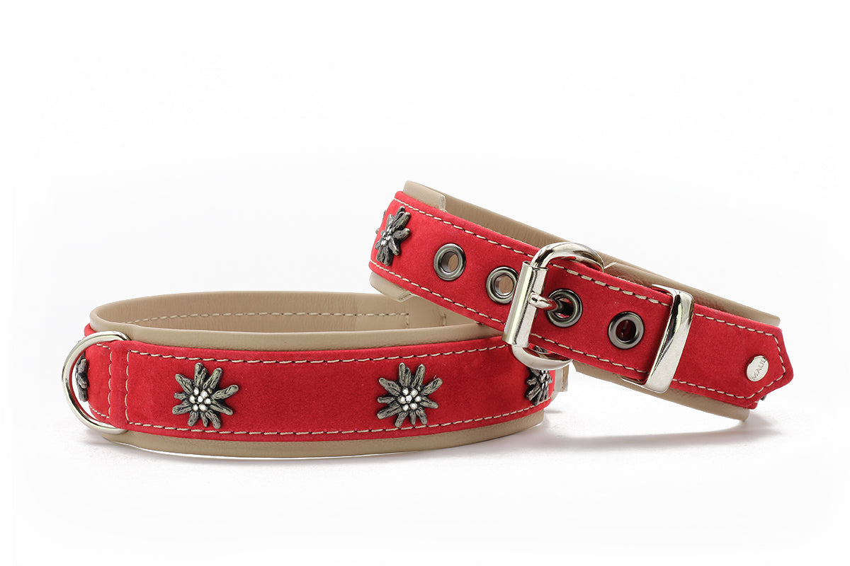 Halsband Alpenblume