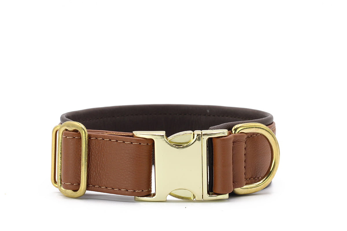 Halsband Klassik Klick