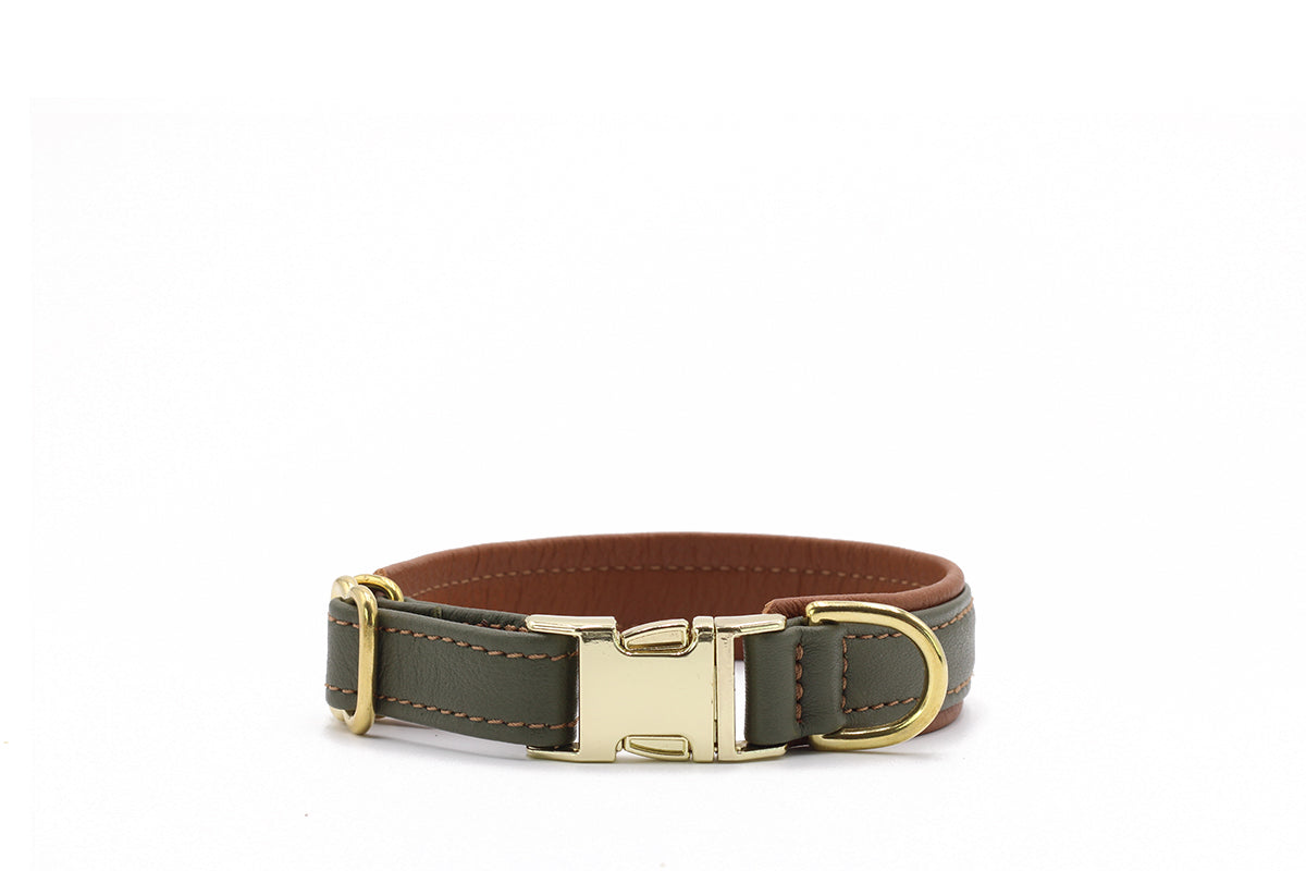 Halsband Klassik Klick