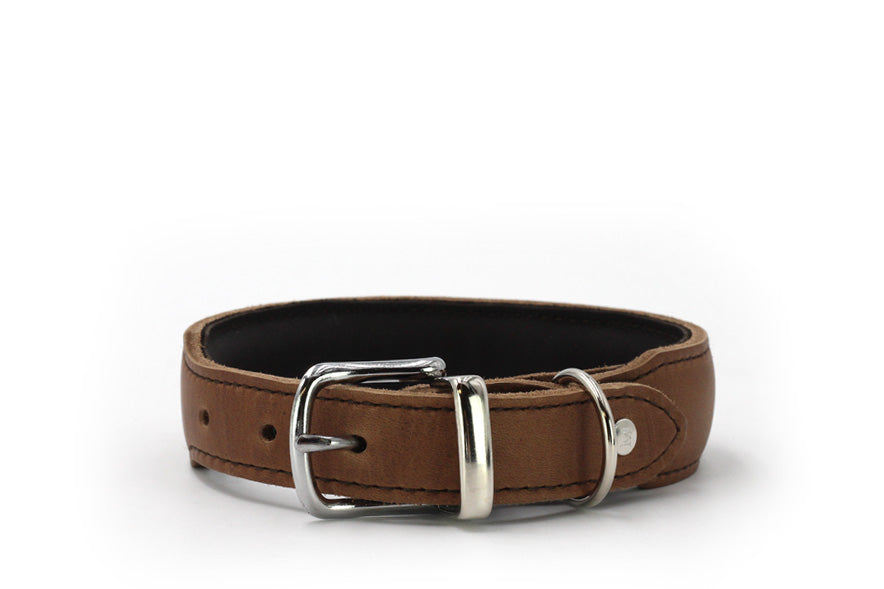 Halsband gefüttert