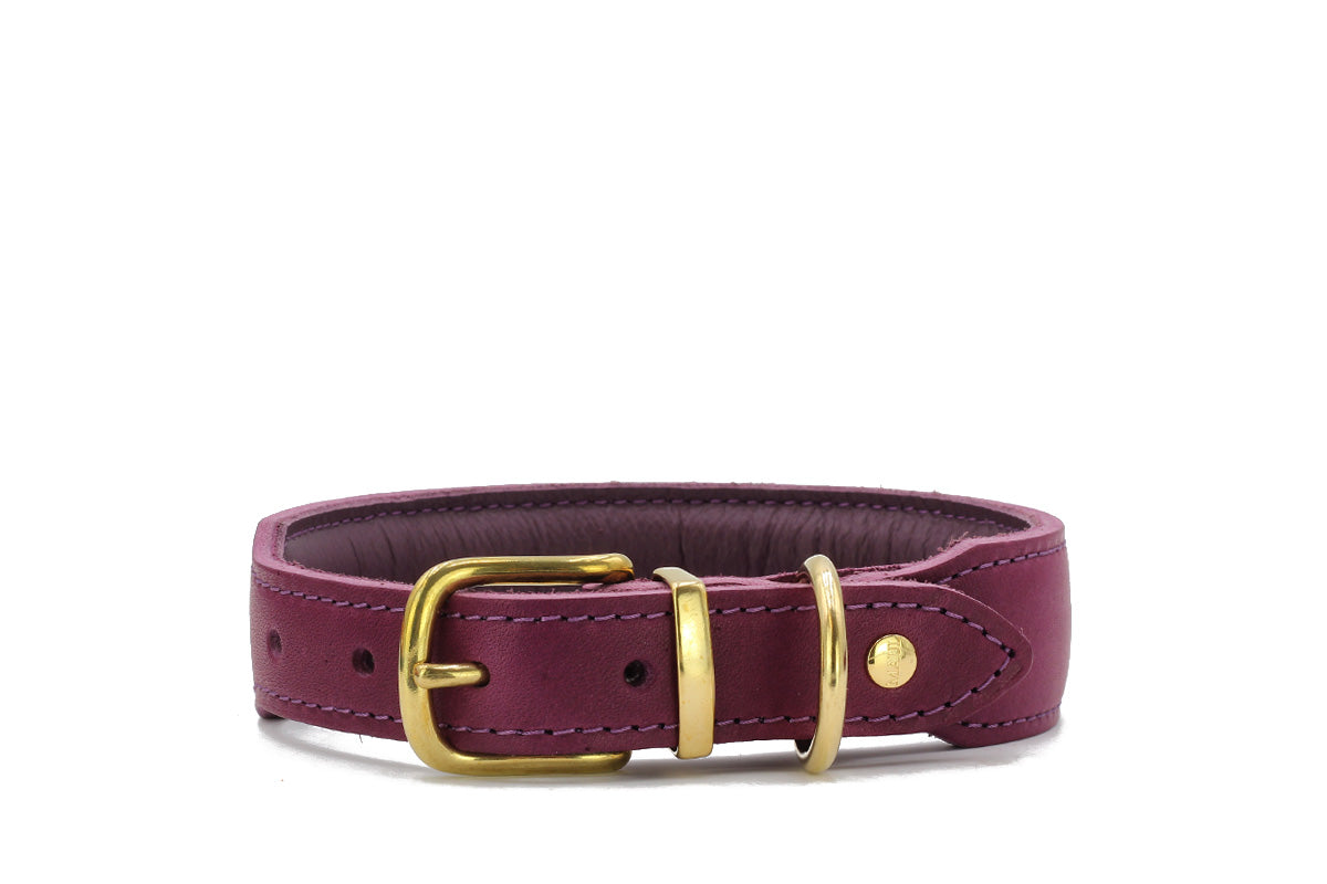 Halsband Mono Pop Herbst Edition