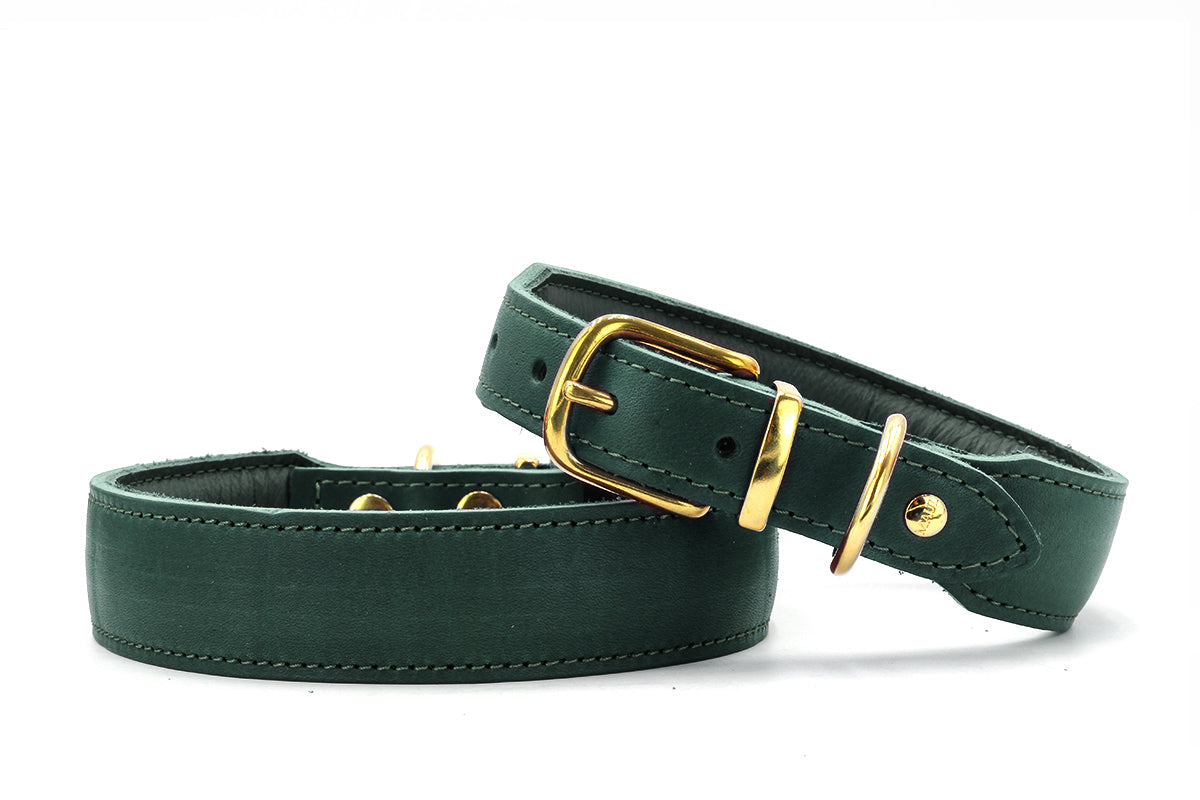 Halsband Mono Pop Herbst Edition