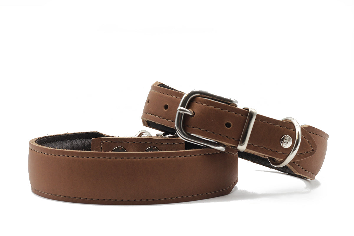 Halsband Mono Pop Herbst Edition