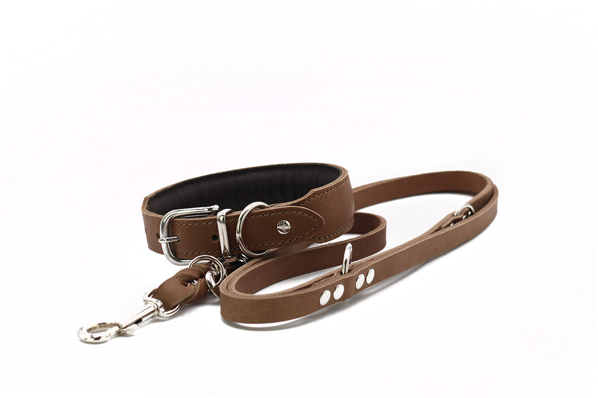 Halsband Mono Pop Herbst Edition