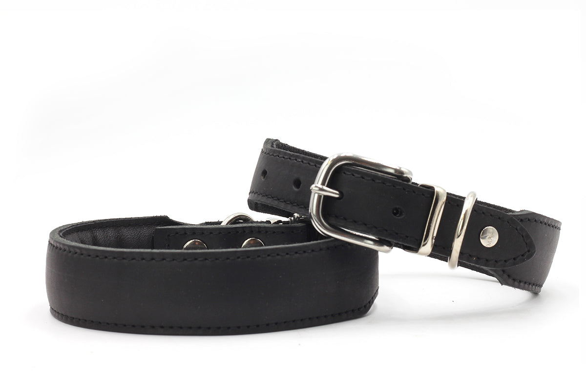 Halsband Mono Pop Herbst Edition