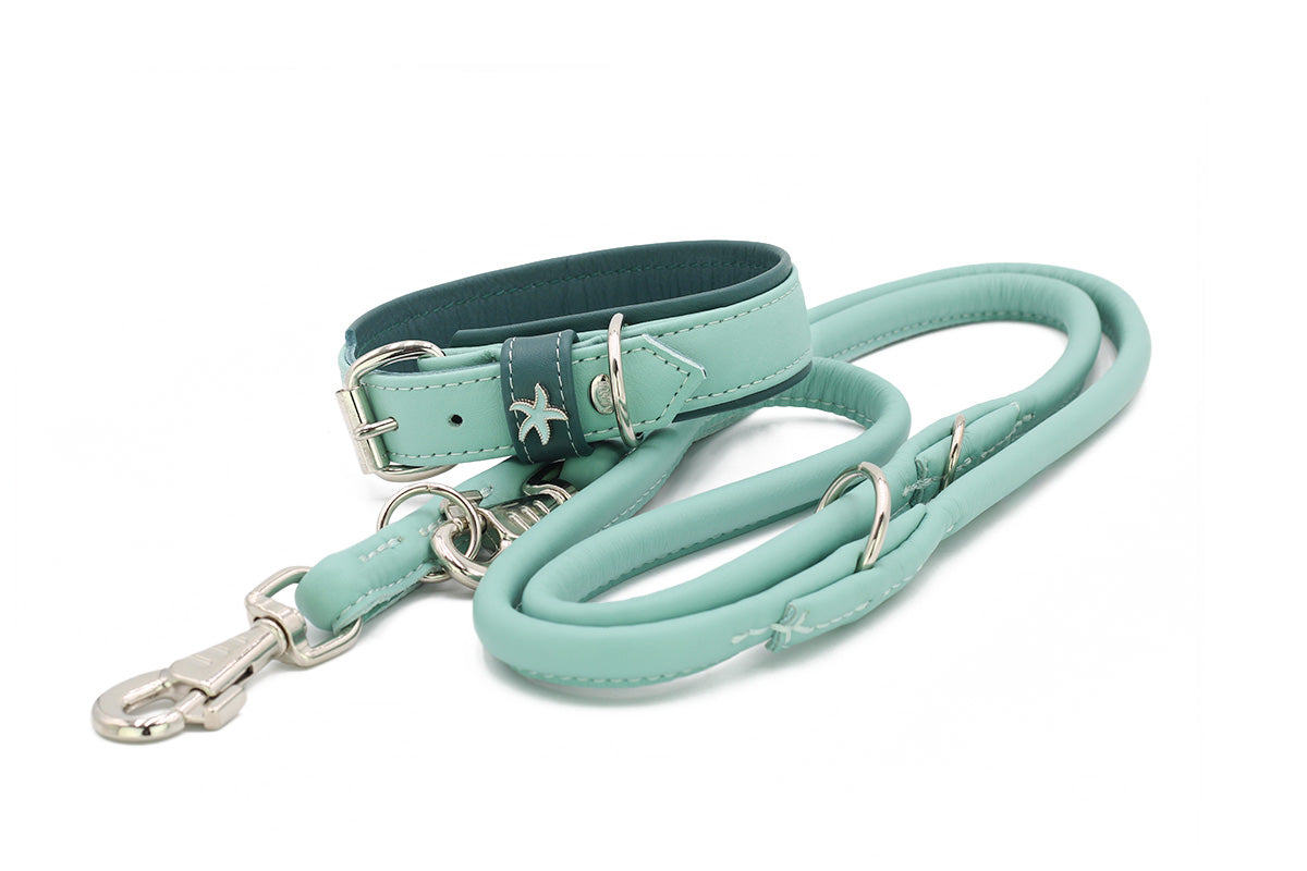 Halsband Spring Break