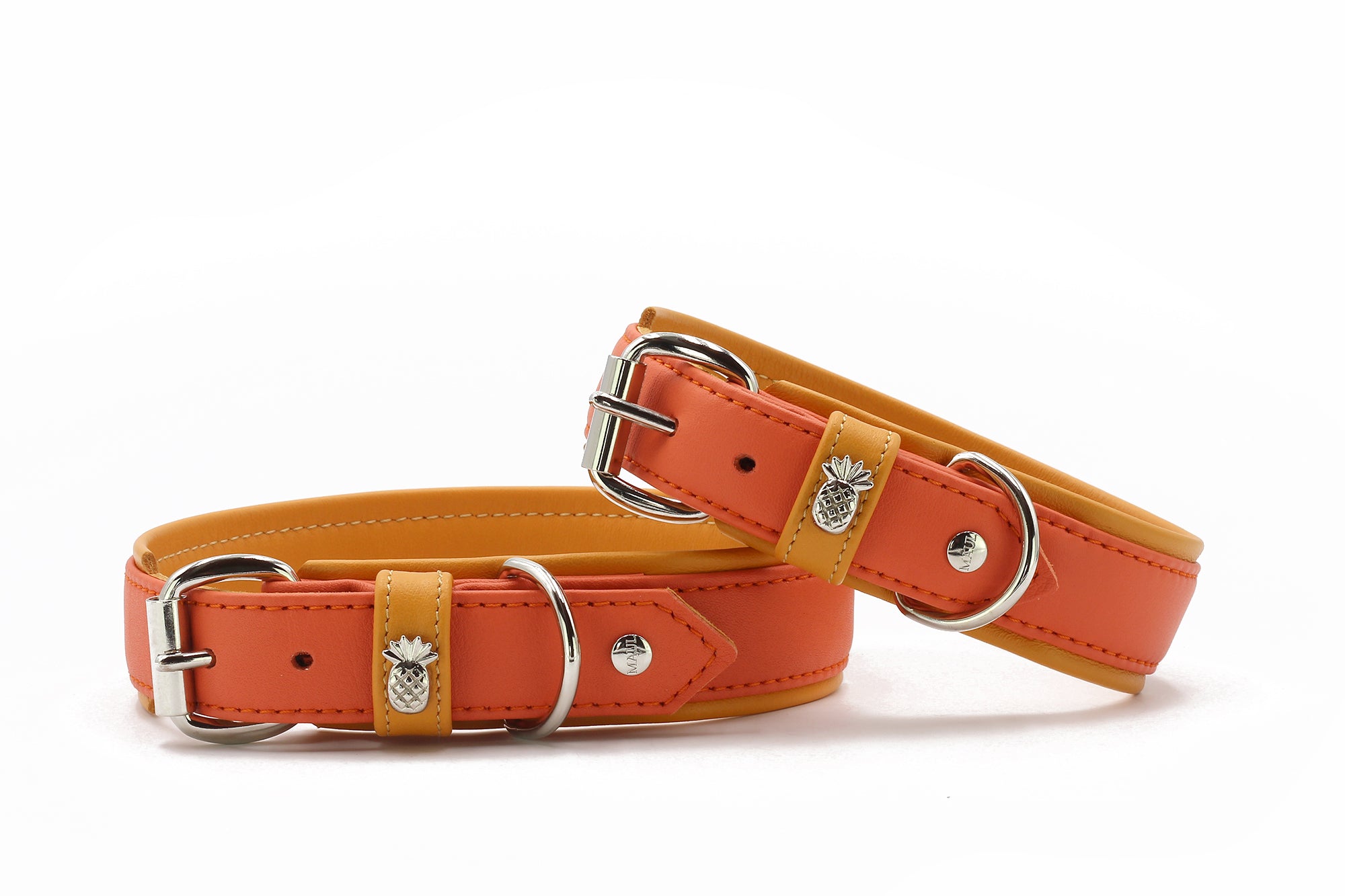 Halsband Spring Break