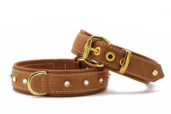 Hochwertiges Lederhalsband für Hunde – Nappaleder, Messing & funkelnde  Details