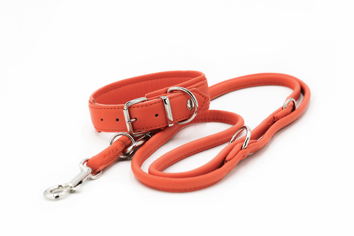 Halsband Klassik Soft - Holi Color