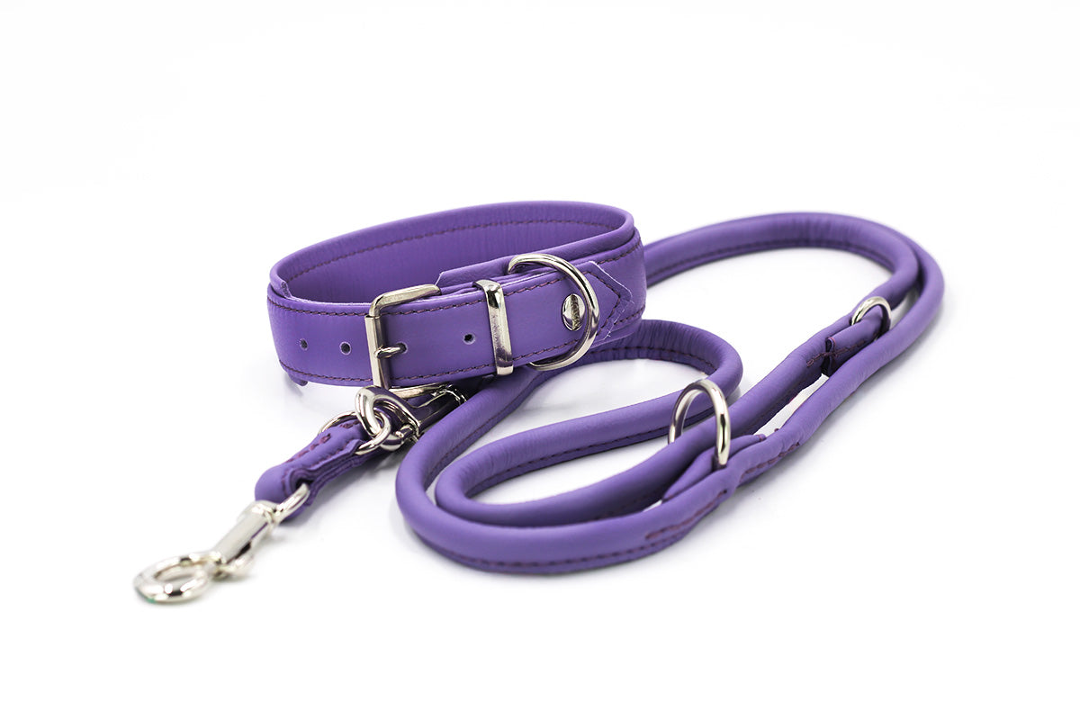 Halsband Klassik Soft - Holi Color