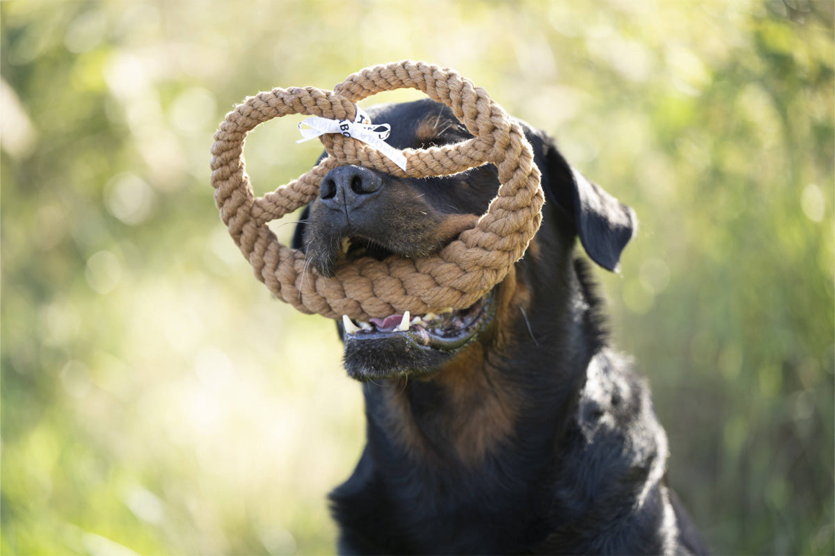 Hundespielzeug Brezel