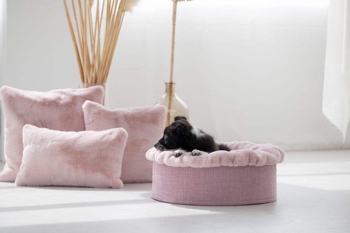 Hundebett Buddelnest®