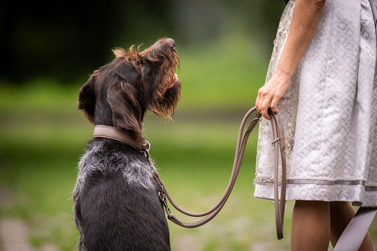 Halsband Klassik Soft