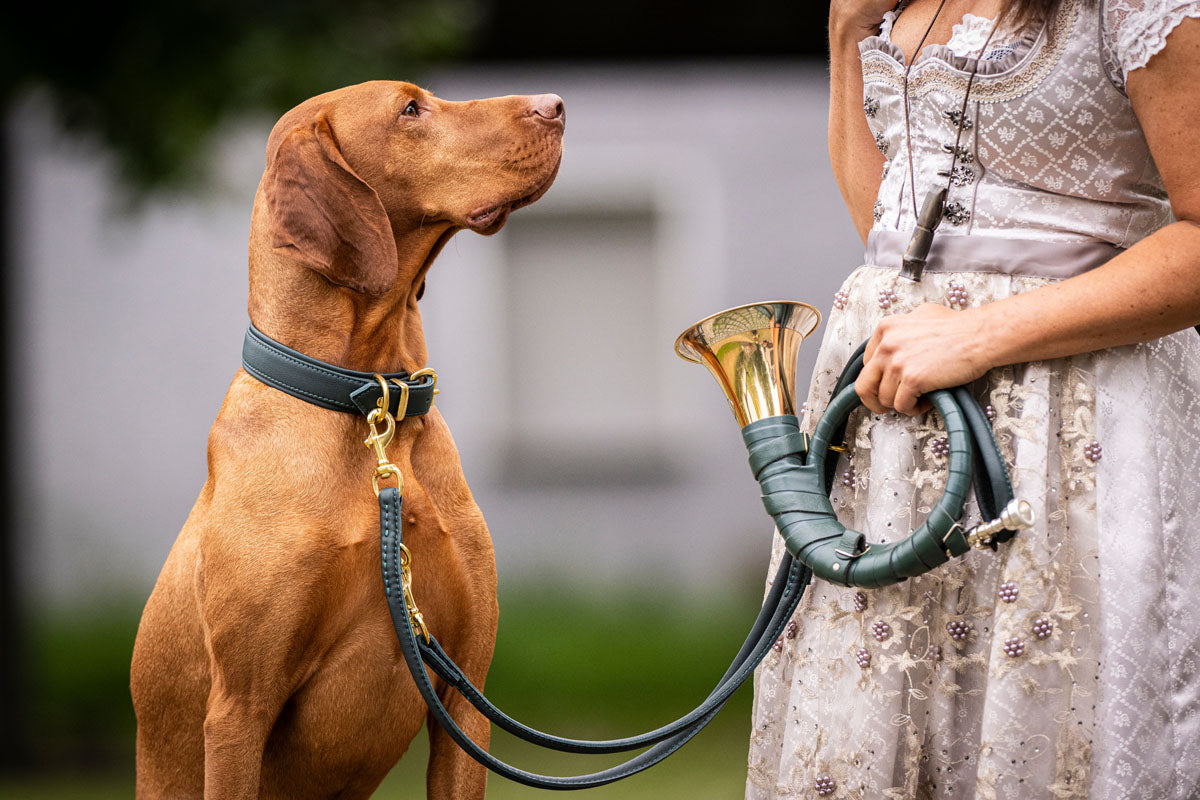 Halsband Klassik Soft