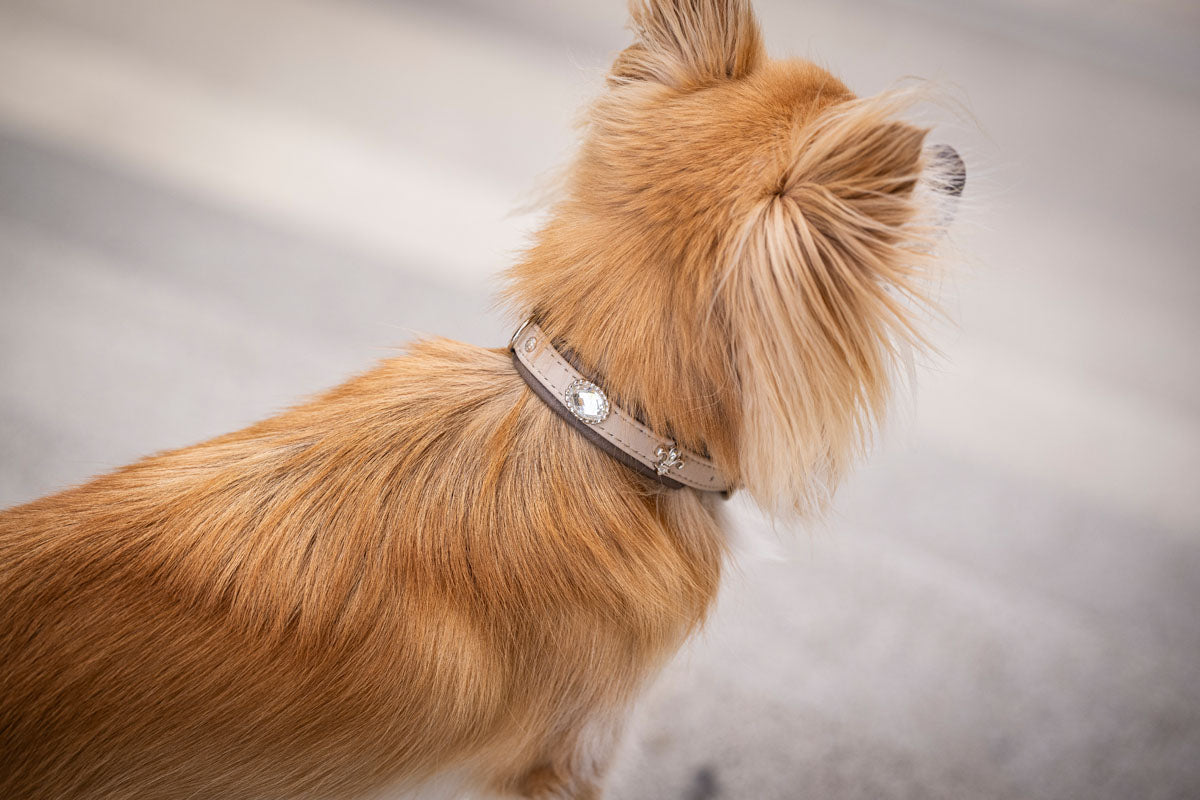 Halsband Mini St.Tropez