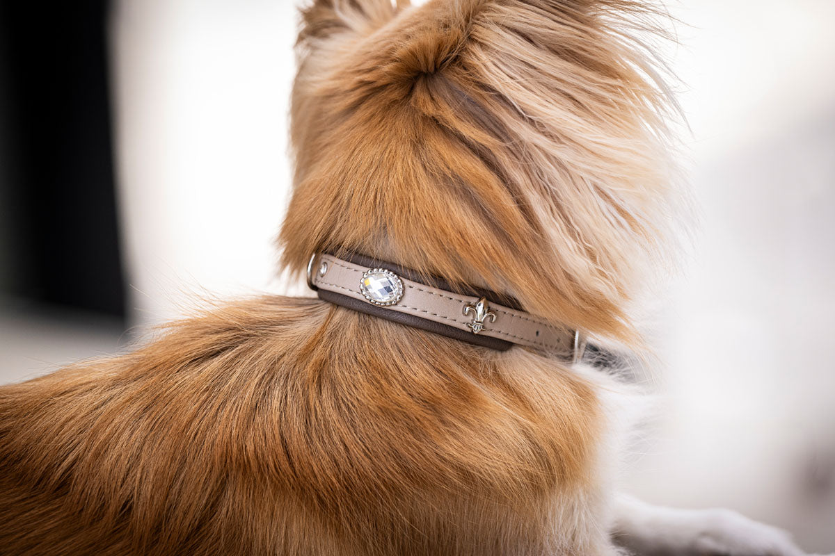 Halsband Mini St.Tropez