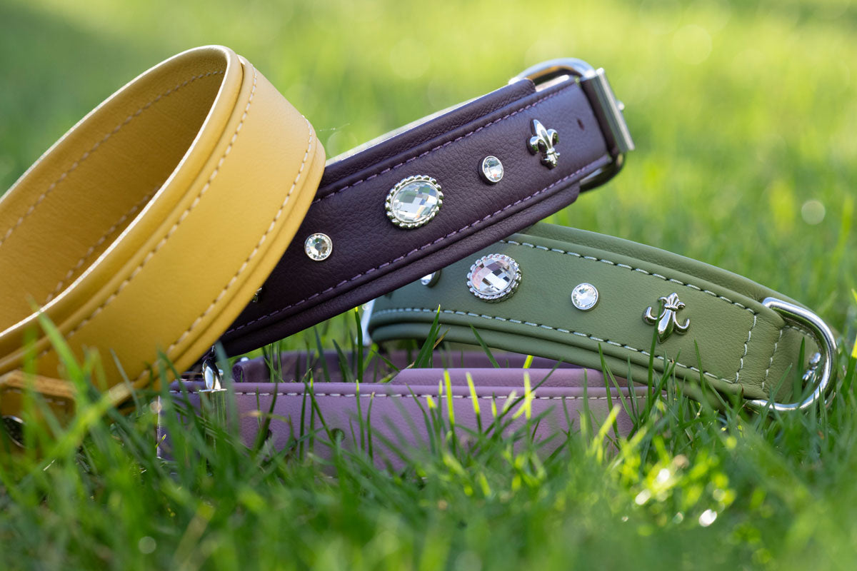 Halsband Klassik Soft