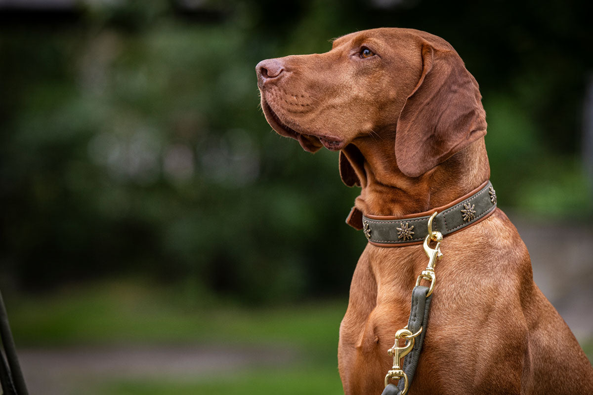 Halsband Bergzauber