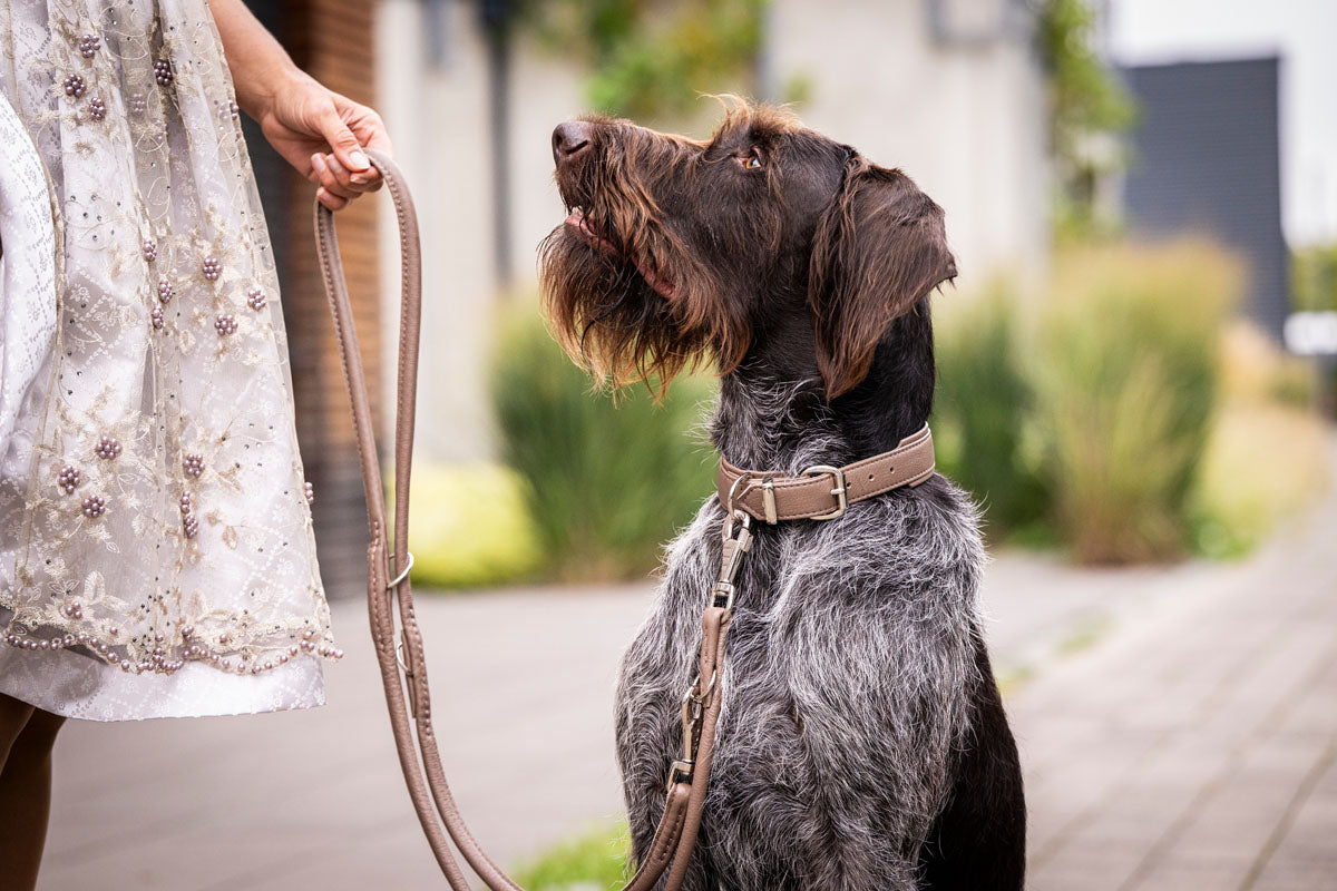 Halsband Klassik Soft