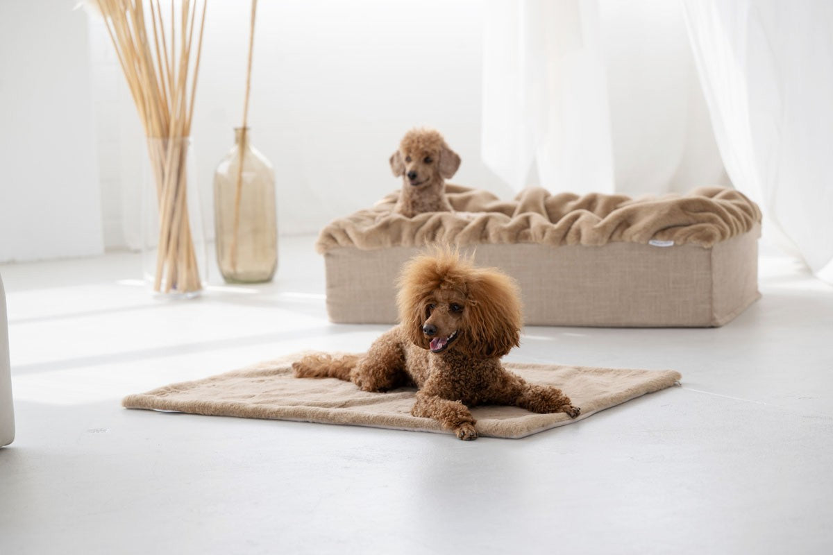 Hundedecke Webpelz