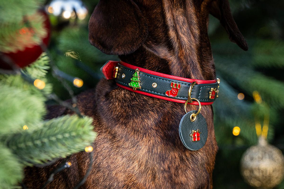 Halsband American X-Mas Dream