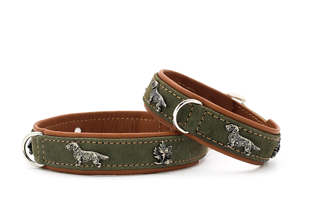 Halsband Dackel