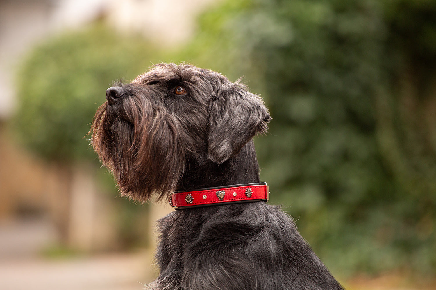 Halsband Herzilein