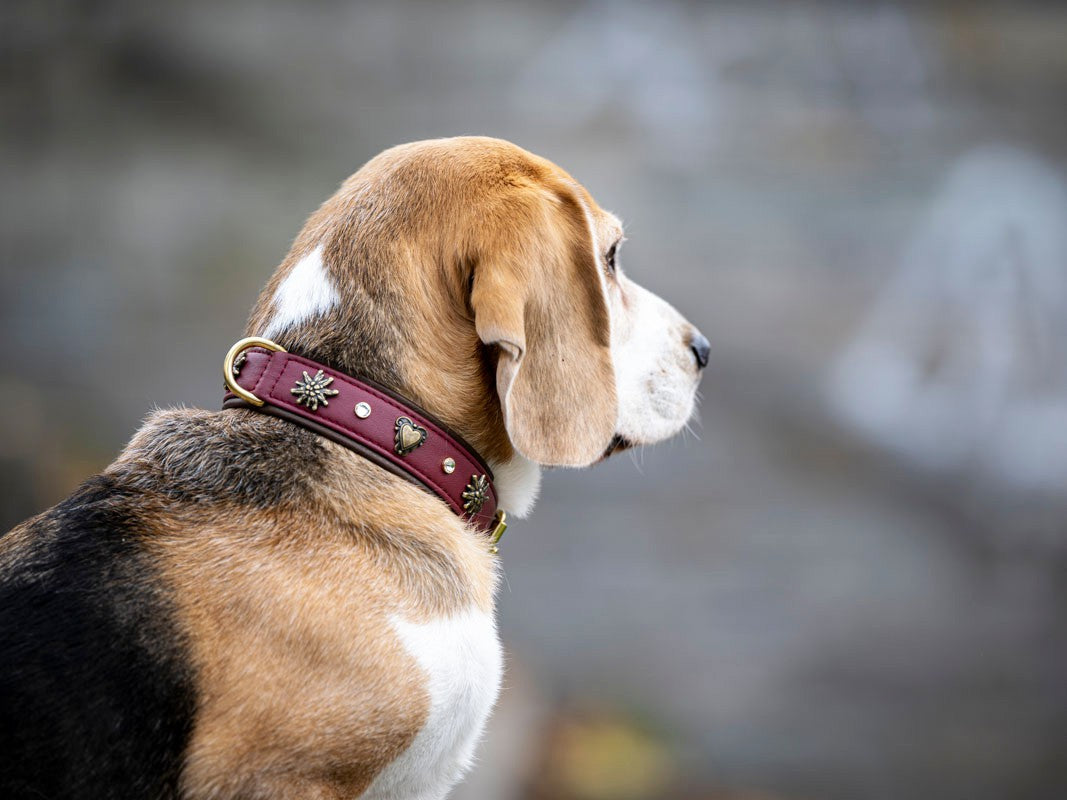 Halsband Herzilein Burgundy