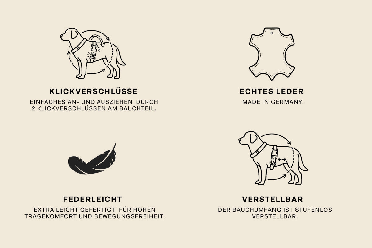 Ledergeschirr Mini