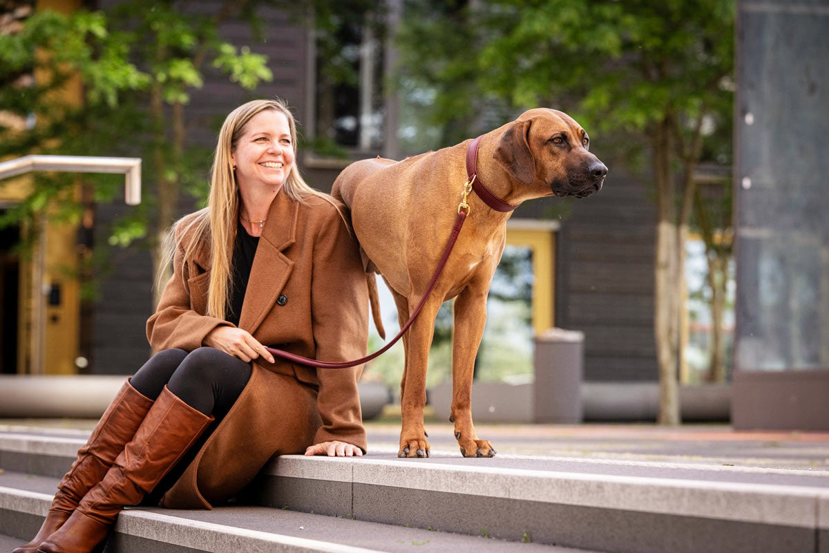Halsband Klassik Exklusiv