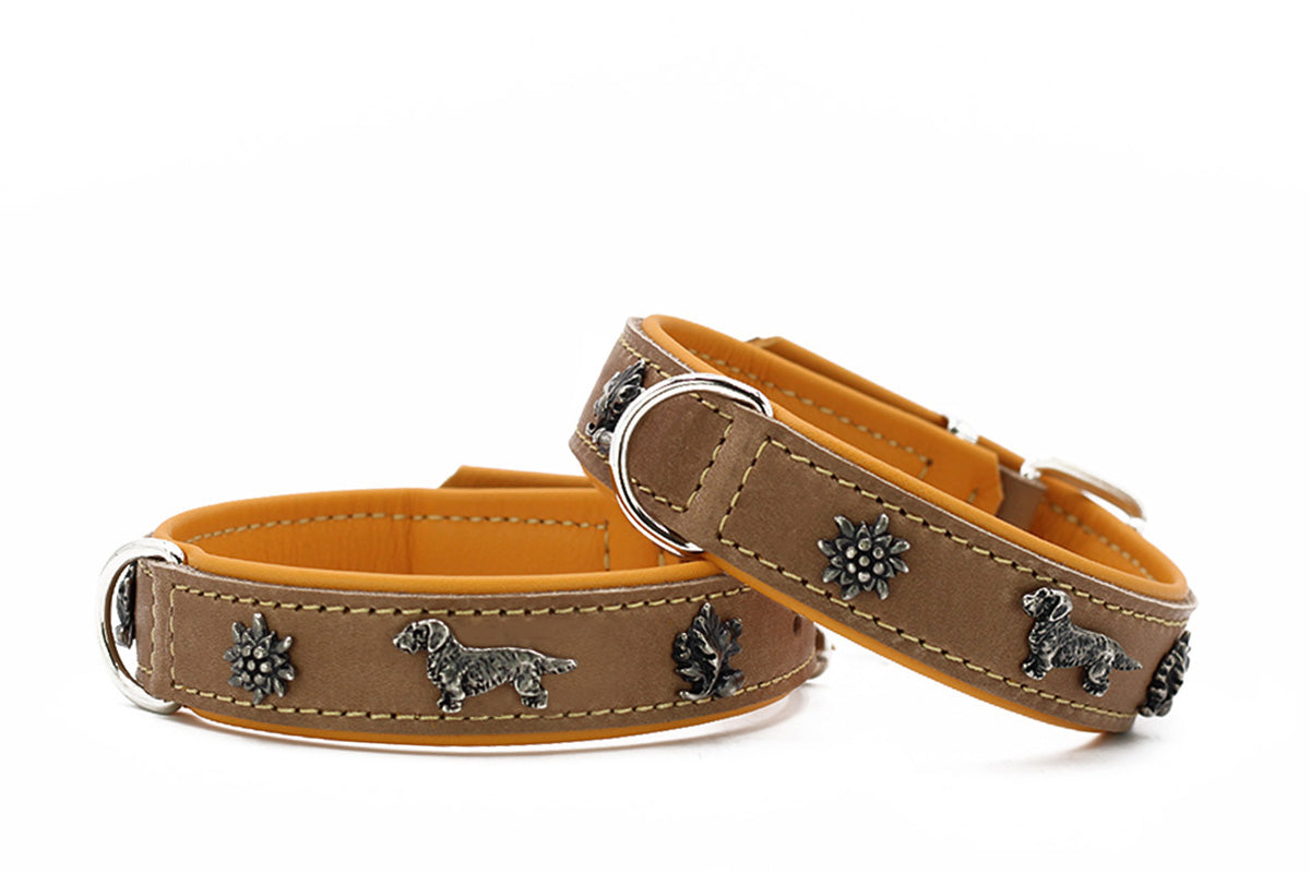 Halsband Premium Dackel