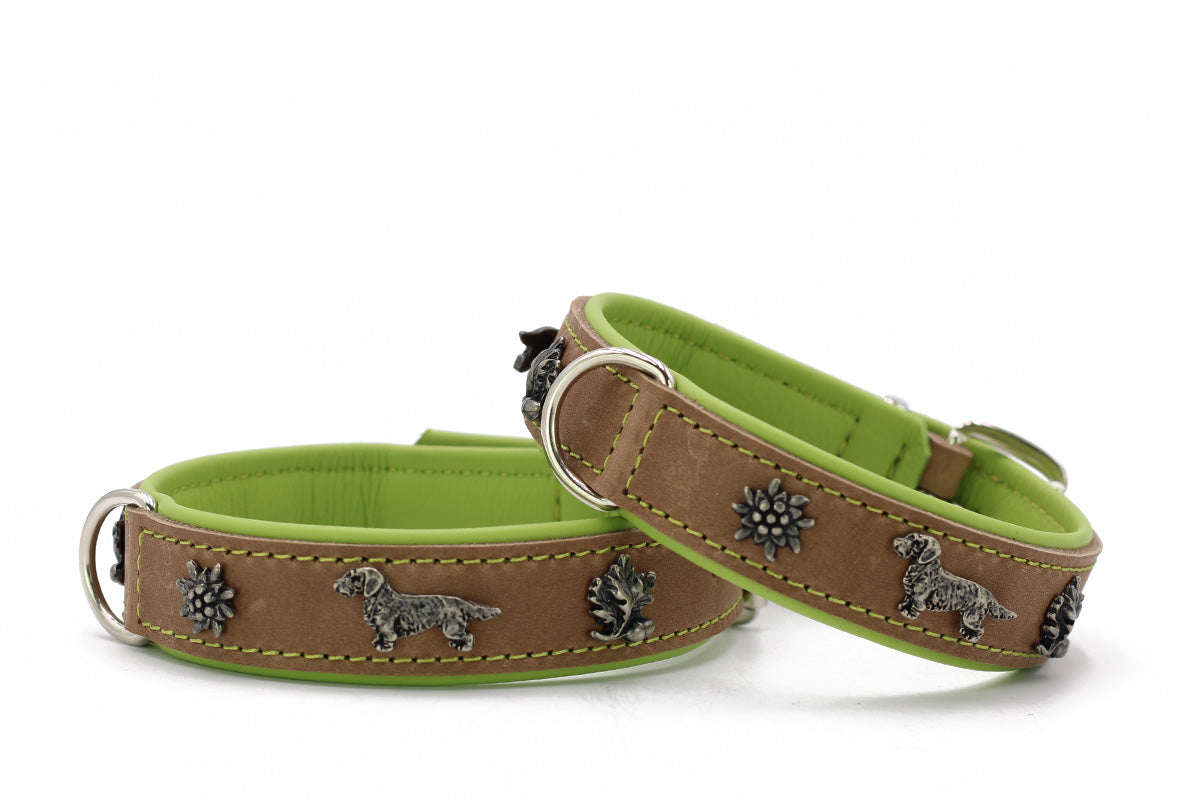 Halsband Klassik Premium Dackel