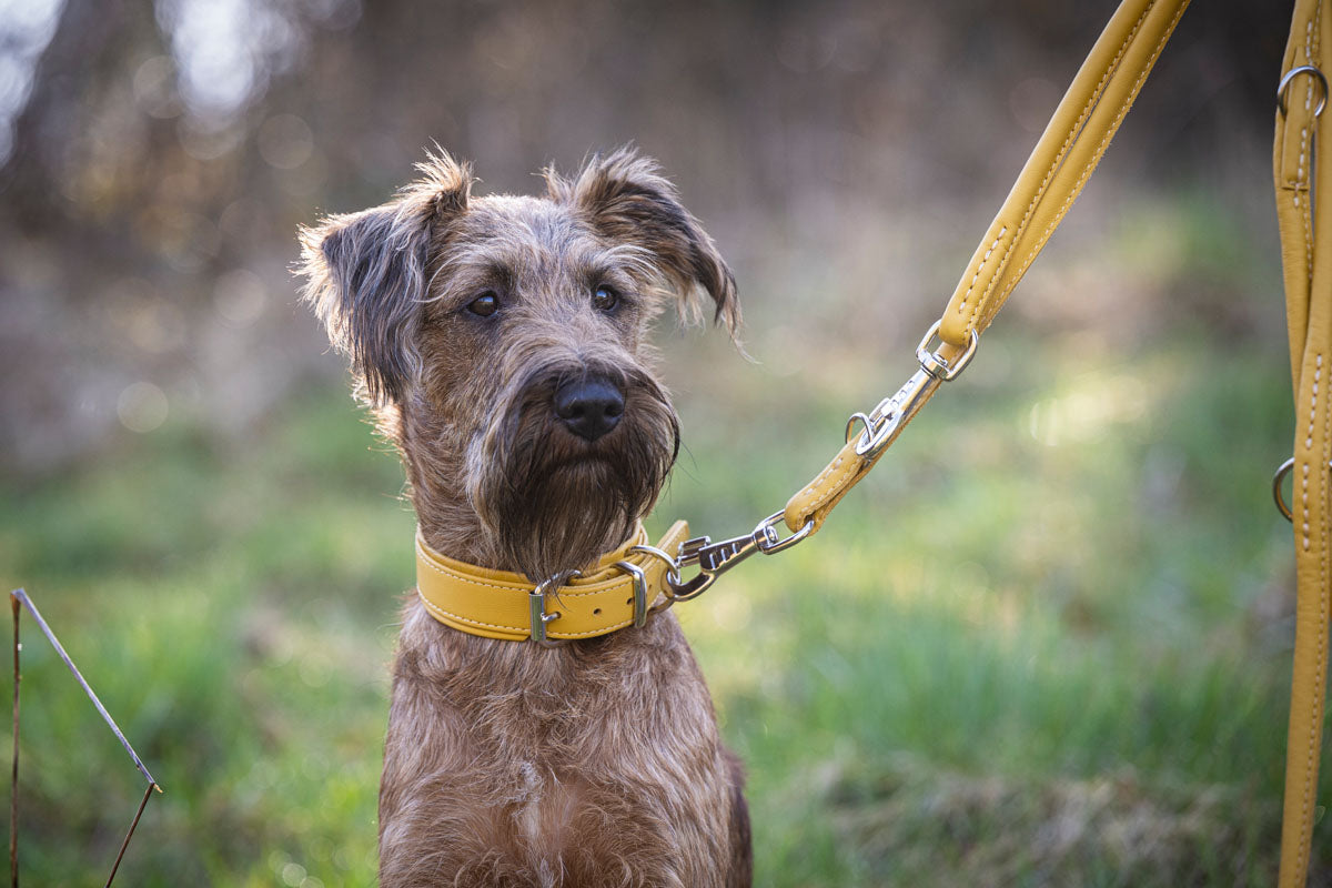 Halsband Klassik Soft