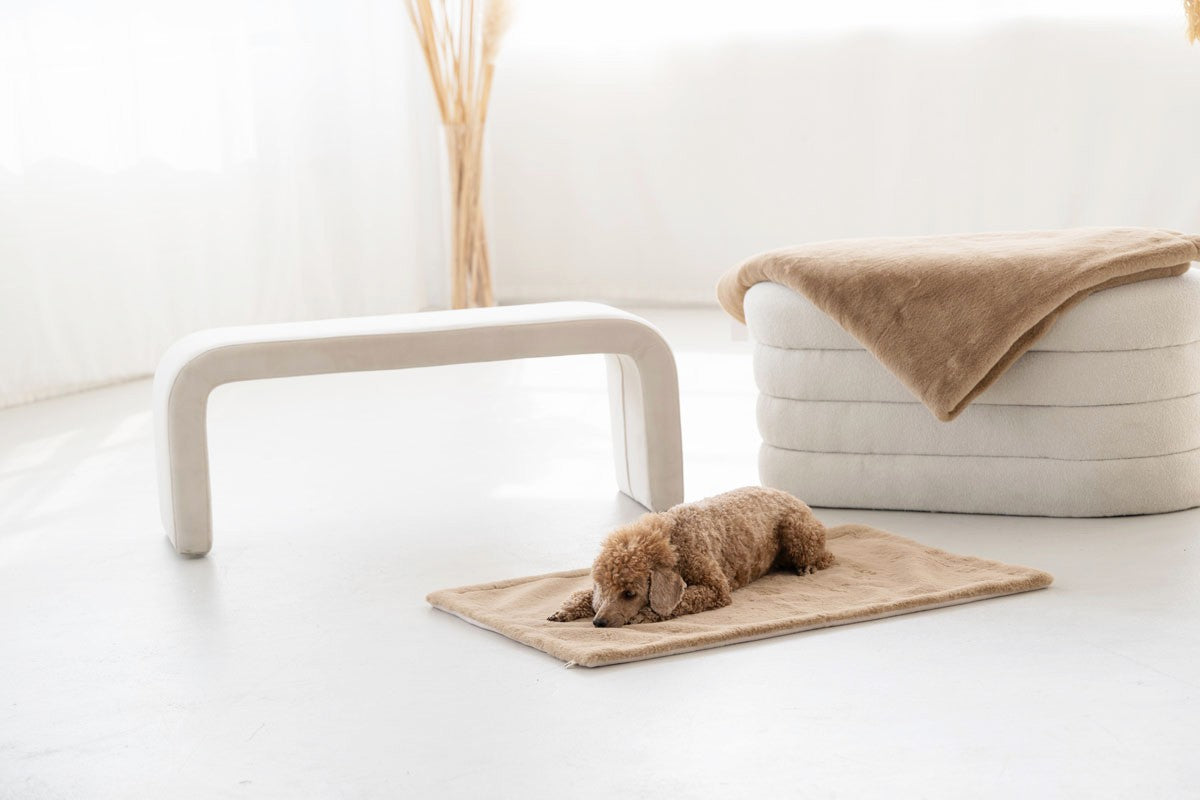 Hundedecke Webpelz