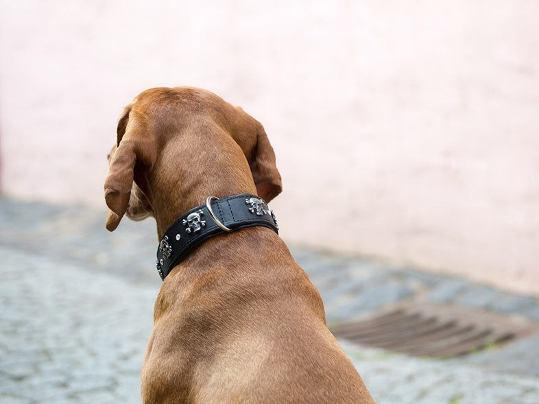 Halsband Totenkopf