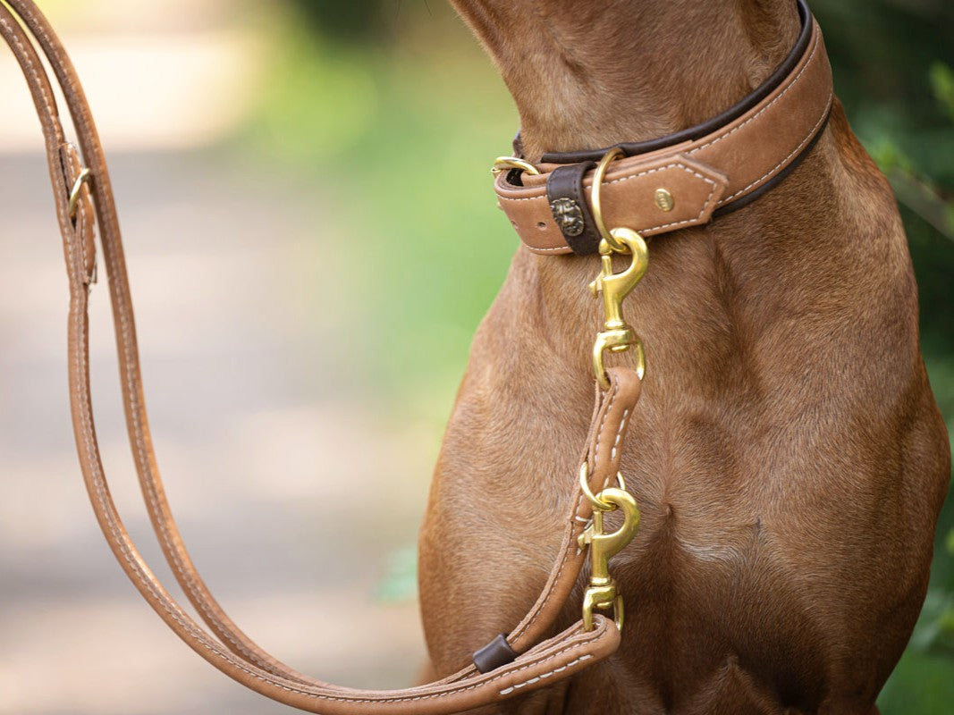 Halsband Safari
