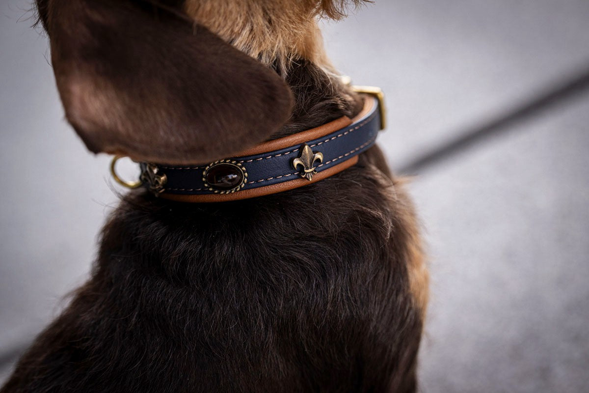 Halsband Mini Lord & Lady