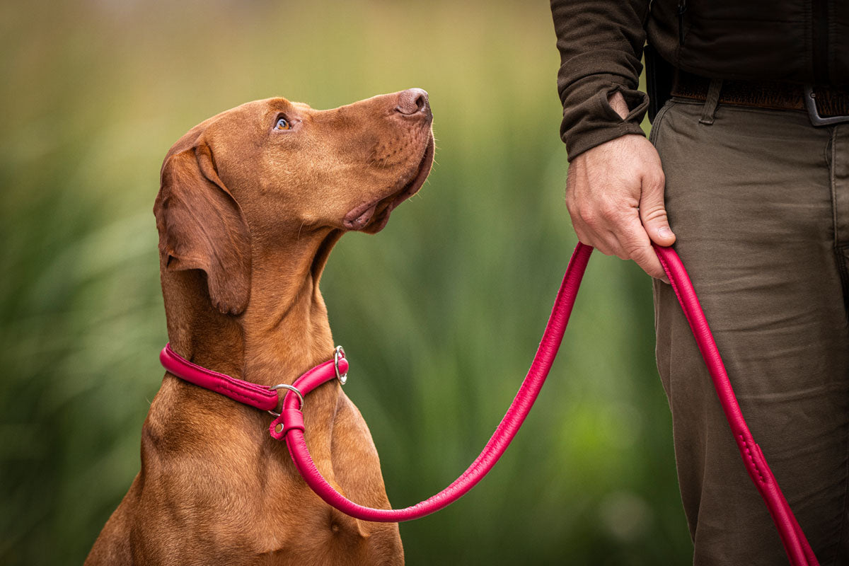 Retriever - Leine Lipstick