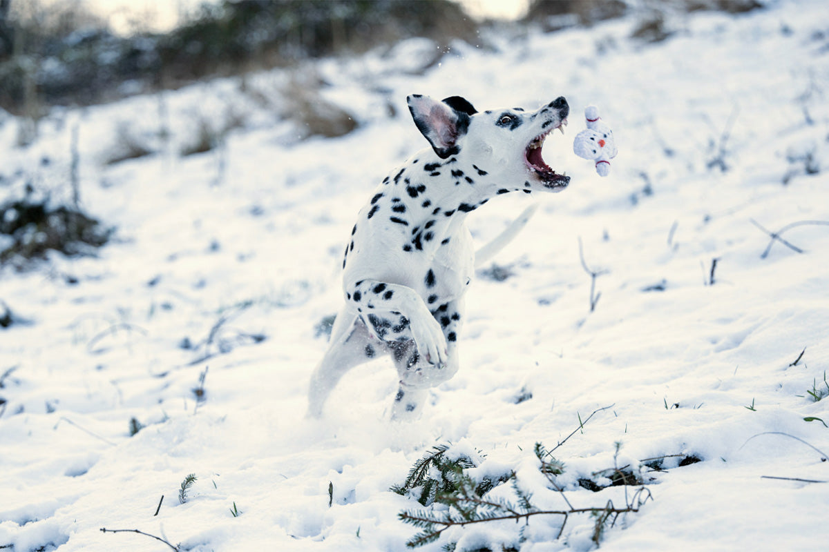 Hundespielzeug Shawn der Schneemann