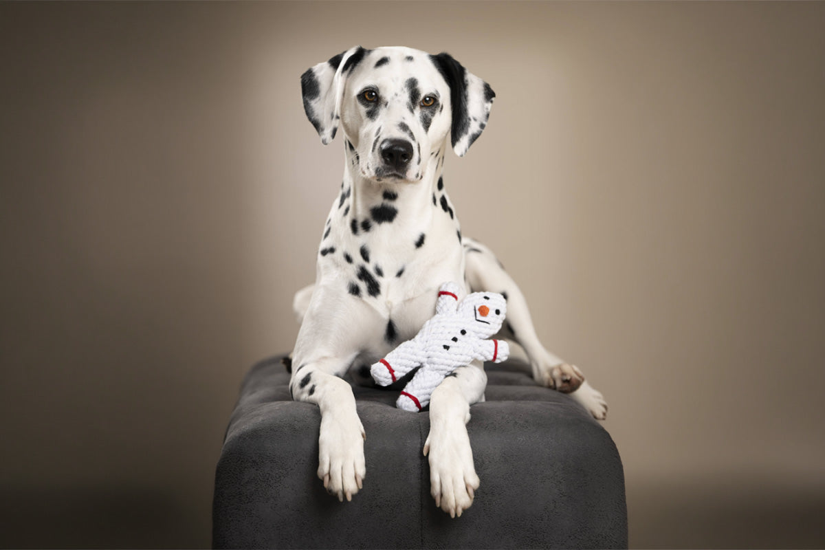 Hundespielzeug Shawn der Schneemann