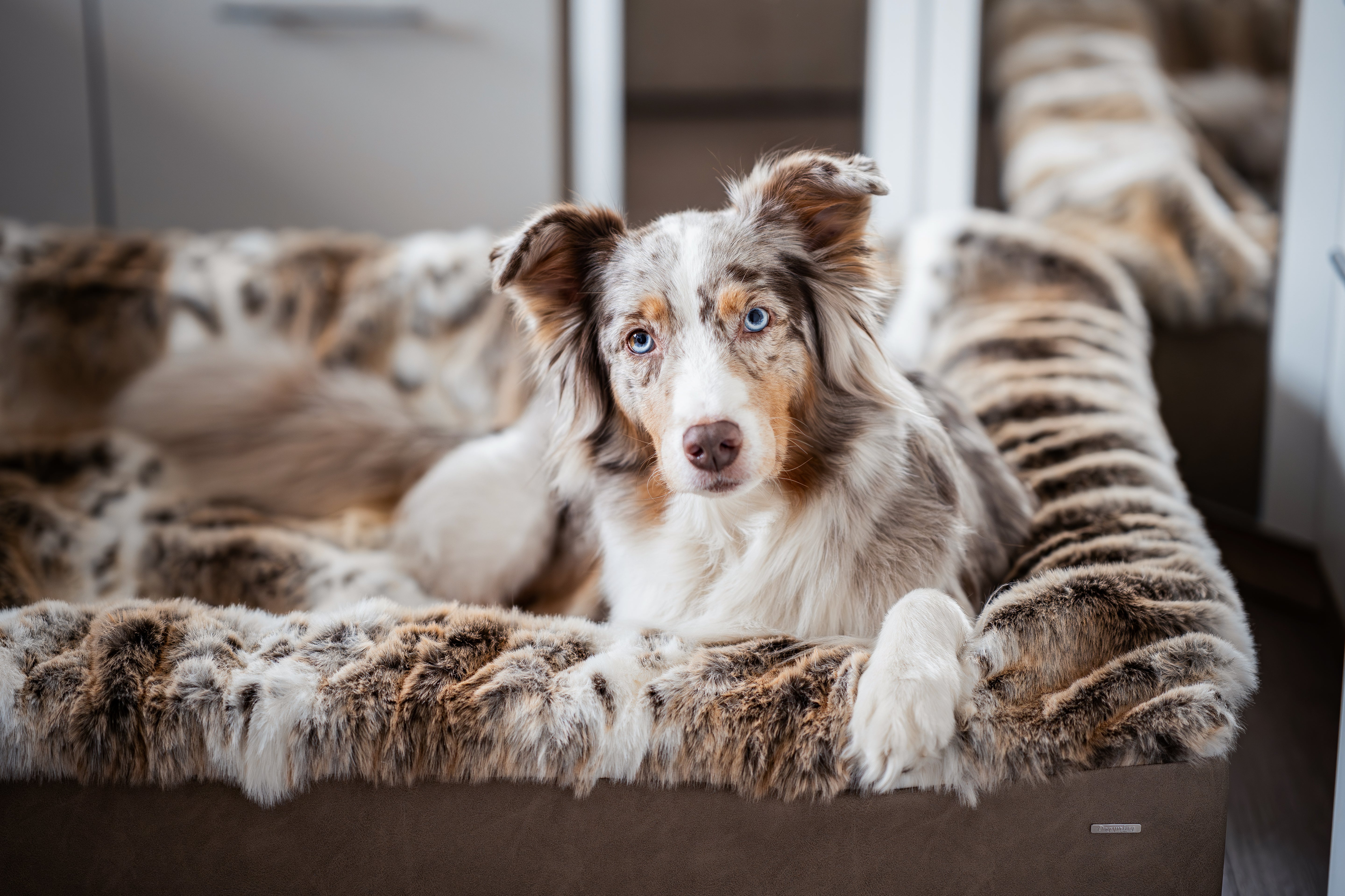 Hundebett Buddelbox®