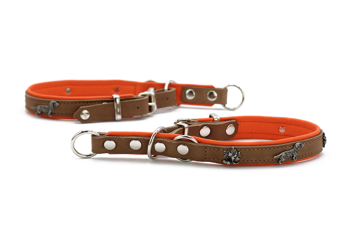 Halsband Klassik Premium Zugstopp Dackel