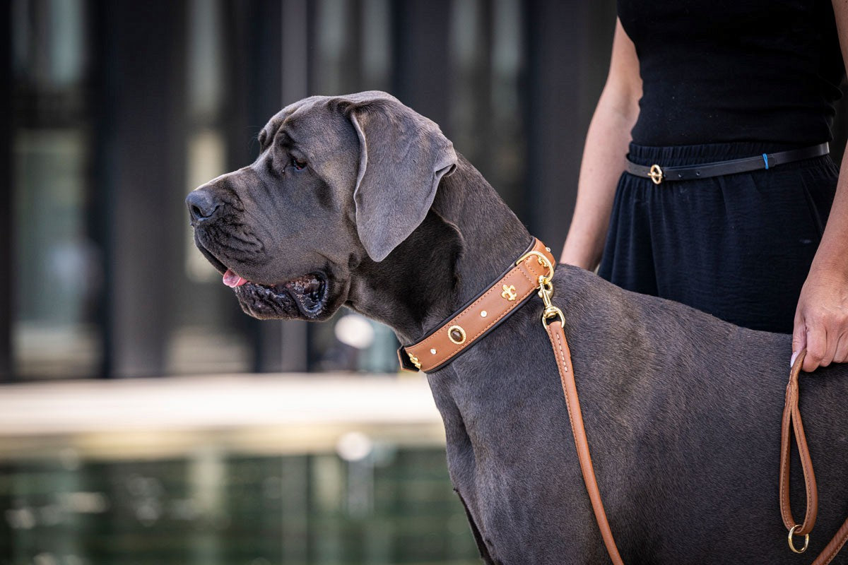 Halsband Dark Diamond