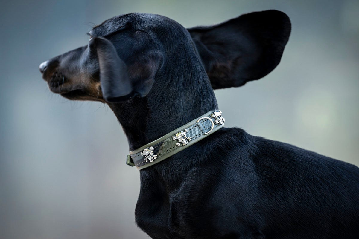 Halsband Mini Wild Army