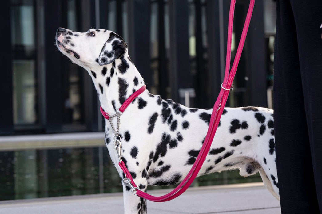 Halsband Rundgenäht mit Ketteneinsatz