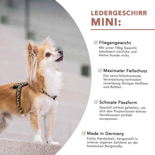 Ledergeschirr Mini