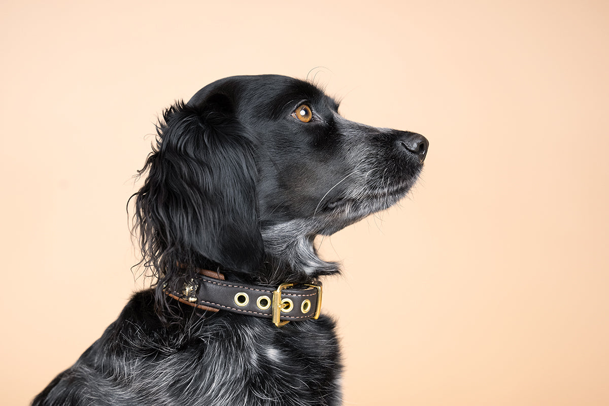 Halsband Wilder Kaiser