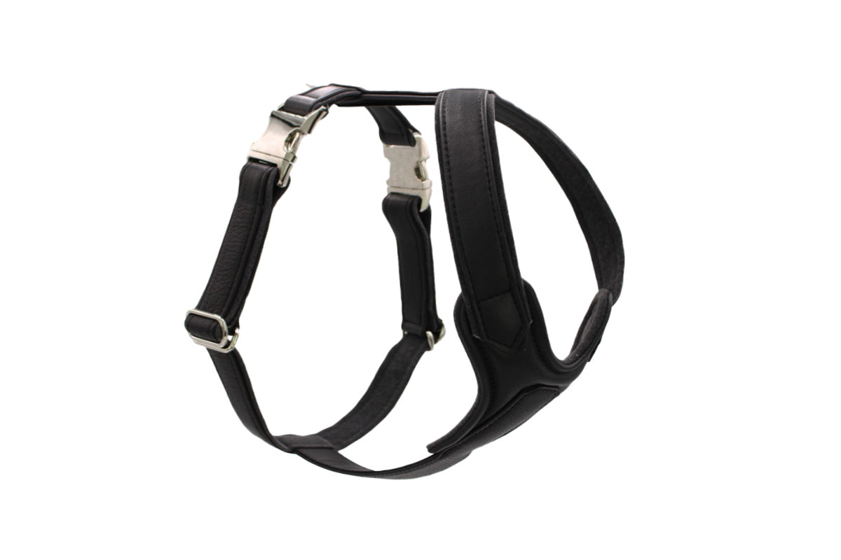 Ledergeschirr einfach verstellbar